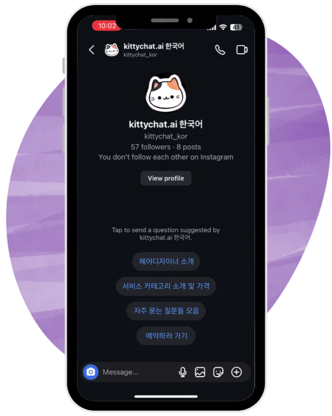 The first screen of an Instagram DM. Four inbox starter buttons sit below the profile — in this Korean example: an introduction to the hair designer, service categories and pricing, frequently asked questions, and book now.